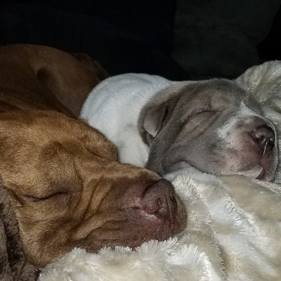 Marsha - Picture 3 of 3